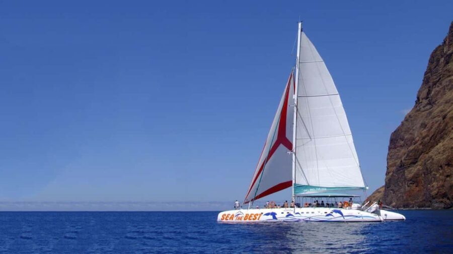Funchal: Dolphin and Whale-watching Catamaran Tour - Who Will Love This Tour?