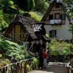 Funchal: Levada Caldeirão Verde Waterfalls and Forests Hike - A Close Look at the Experience