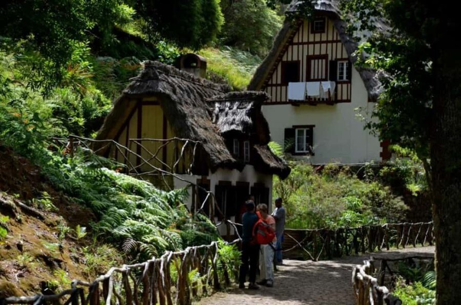 Funchal: Levada Caldeirão Verde Waterfalls and Forests Hike - A Close Look at the Experience