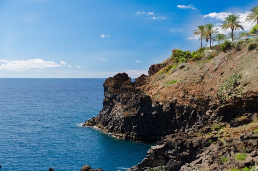 Funchal: Private Walking Tour with a Local - Key Points: