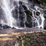 Furnas Volcano Wonders, Tea Plantation & Waterfall Tour - Exploring the Best of São Miguel’s East Side