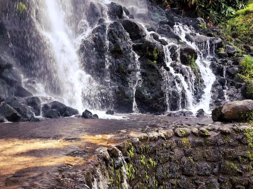 Furnas Volcano Wonders, Tea Plantation & Waterfall Tour - Exploring the Best of São Miguel’s East Side