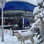 Gabala Private Tour - What’s Included and What’s Not