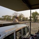 Game Drive in Mosi-Oa-Tunya National Park - The Best Time to Book and What You Pay For