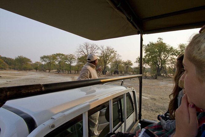 Game Drive in Mosi-Oa-Tunya National Park - The Best Time to Book and What You Pay For