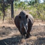 Game Drive into the Musi Otunya National Park - Who Will Love This Tour?