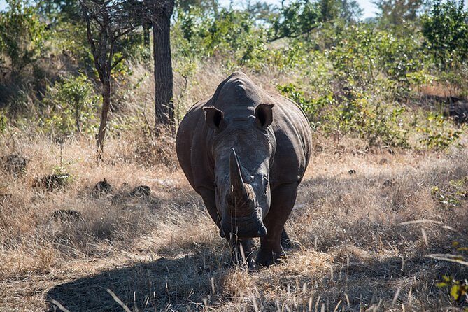 Game Drive into the Musi Otunya National Park - Who Will Love This Tour?
