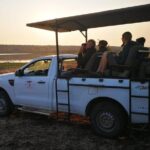 Game Drives - Who Should Book This Tour?