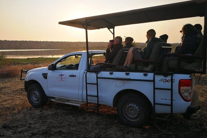 Game Drives - Who Should Book This Tour?