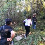 Gaon - Istria: Truffle Hunting & Cooking & Tasting - The Truffle Hunt: What to Expect