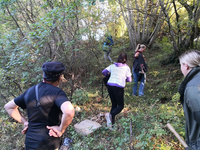 Gaon - Istria: Truffle Hunting & Cooking & Tasting - The Truffle Hunt: What to Expect