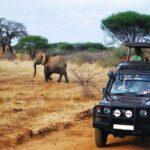 Garden Route 5 Day Hiking & Safari Adventure from Cape Town - Who Will Love This Tour?