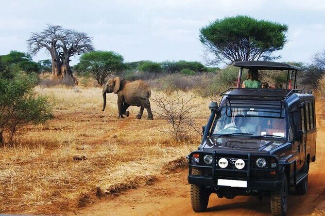 Garden Route 5 Day Hiking & Safari Adventure from Cape Town - Who Will Love This Tour?