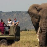 Garden Route & Botlierskop G Reserve 5 Day Safari from Cape Town - Why This Tour Offers Great Value