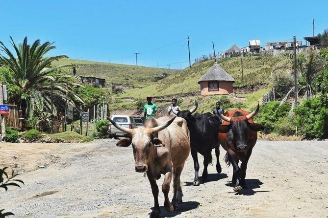 Garden Route Durban to Cape Town via Addo National Park - 7 Days - Final Thoughts