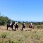 Gargano National Park: horseback riding - A Detailed Look at the Gargano Horseback Riding Experience