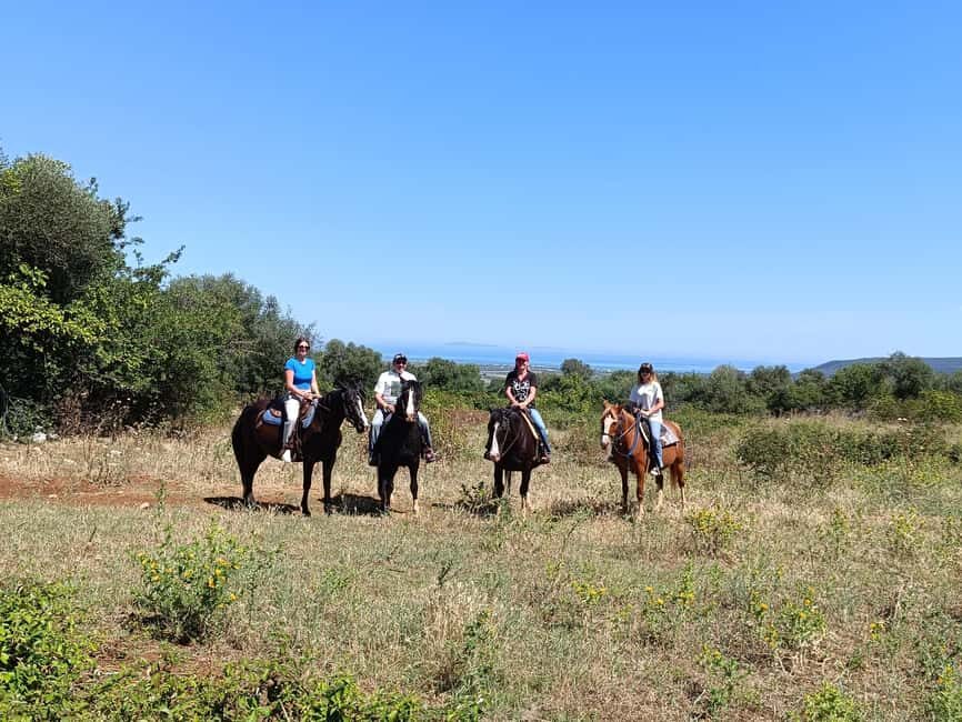 Gargano National Park: horseback riding - A Detailed Look at the Gargano Horseback Riding Experience