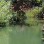 Gateway to Paradise Valley by Atlas Mountain - Transportation and Group Size