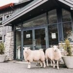 Geiranger: Excursions.no Mount Dalsnibba & Eagle's Bend - Final Thoughts
