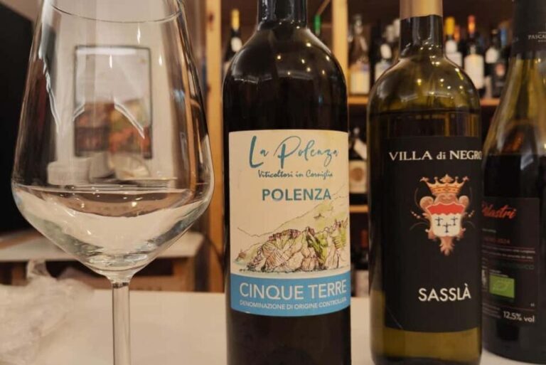 Genoa: Wine Tasting with Pesto, Focaccia Near Columbus House - Who Will Love This?