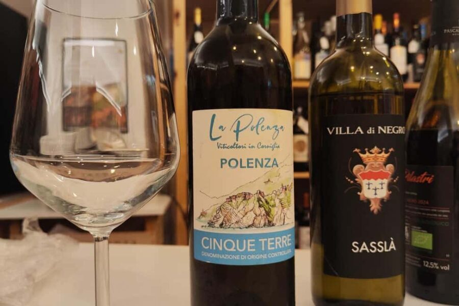 Genoa: Wine Tasting with Pesto, Focaccia Near Columbus House - Who Will Love This?
