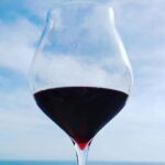 Genuine Home Cooking Class + Wine Tasting - The Welcome and Initial Tasting