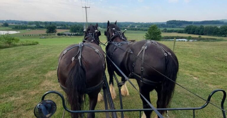 Gettysburg: Horse-Drawn Carriage Tour Countryside & Orchards - The Farm & Surroundings