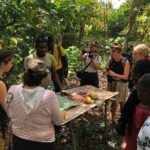 Ghana Eastern Explorer - Boti Falls, Aburi Gardens & Tetther Quarshie Cocoa Farm - The Sum Up: Is This Tour Worth It?