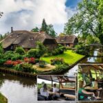 Giethoorn: Sightseeing Boat Tour - What to Expect on the Giethoorn Canal Cruise