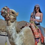 Giftun Island VIP Sea Trip Lunch on Bord and Transfer - Hurghada - The Itinerary: What to Expect