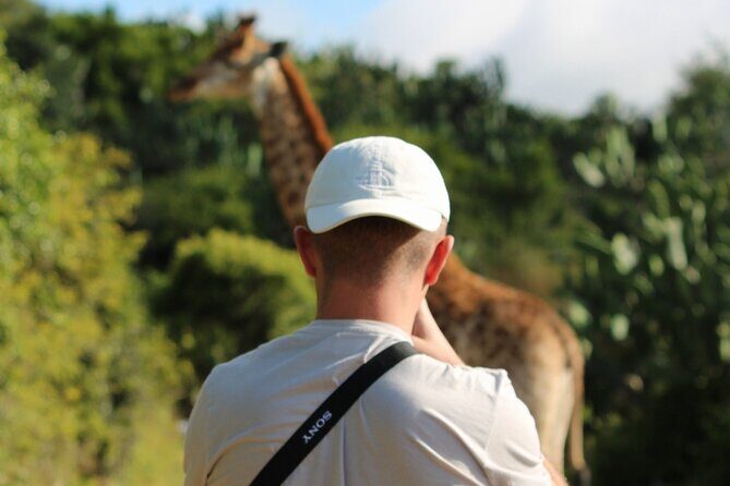 Giraffe Tracking 4x4 Safaris - The Scenic 4x4 Drive