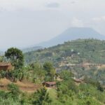 Gisenyi city tour - Wildlife and the Bat House