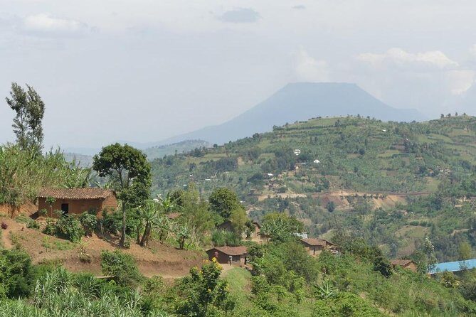 Gisenyi city tour - Wildlife and the Bat House