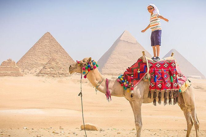 Giza Pyramids and Sakkara Tour - Practical Details and What Travelers Say