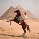 Giza Pyramids Photoshoot with Jumping Horse, Camel and Sphinx - Who Is This Tour Best For?