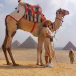 Giza pyramids ,Sphinx ,Egyptian Museum ,Camel Ride include entry fees - Who Will Love This Tour?