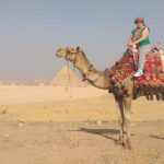Giza Pyramids, Sphinx, Saqqara, Dahshur with Lunch and Camel Ride - Who Will Love This Tour?