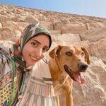 Giza Pyramids+Salahuddin castle,10%to stray dogs & cats of egypt - Practical Details