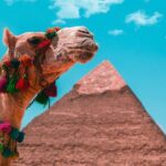 Giza, The National Museum and Khan El Khalili Private Day tour - Final Thoughts