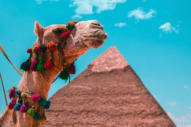 Giza, The National Museum and Khan El Khalili Private Day tour - Final Thoughts