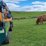 Glasgow: Highland Cow Trailer Tour with home baking - Practical Details & Tips