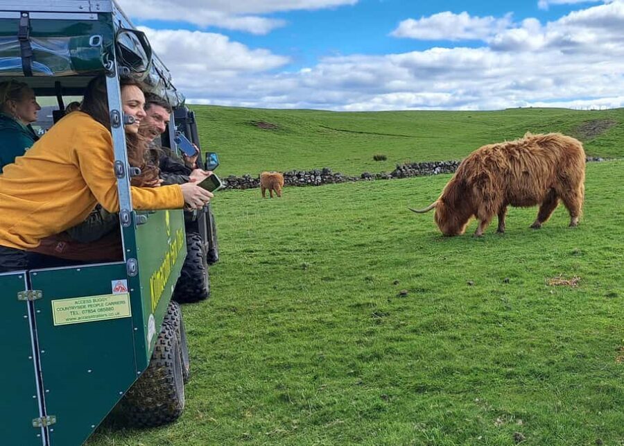 Glasgow: Highland Cow Trailer Tour with home baking - Practical Details & Tips