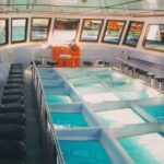 Glass Bottom Boat Excursion in Sharm El Sheikh - A Detailed Look at the Itinerary