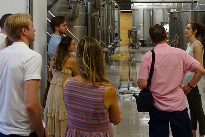 GOLD EXPERIENCE - Winery tour & tasting at Villa Corniole - Who Should Consider This Tour?