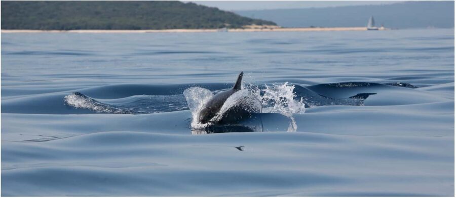Golden Beach & Blue Cave Exclusive Private Boat Tour - What Makes This Tour Stand Out?