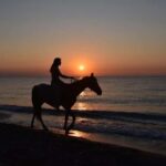Golden Beach Sunrise: Horse Riding - Why This Tour Offers Great Value