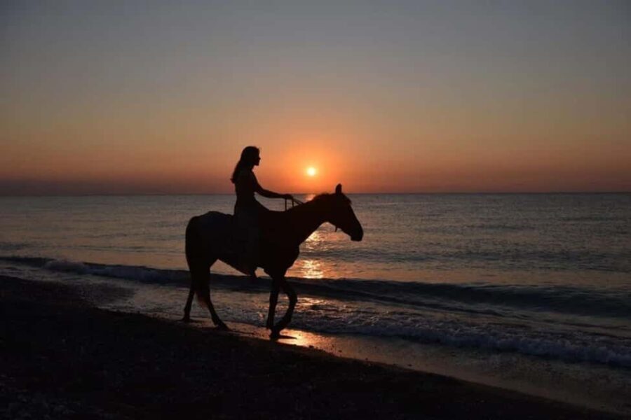 Golden Beach Sunrise: Horse Riding - Why This Tour Offers Great Value