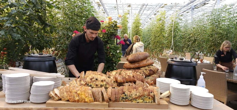 Golden Circle with Tomato Farm and Secret Lagoon(Optional) - The Practicalities: What You Should Know