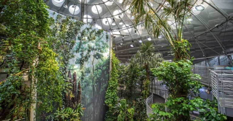 Golden Gate Park Tour With California Academy of Sciences - Practical Details & What to Expect