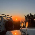 Golden Hour Safari in the Algarve - The Experience in Detail